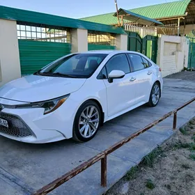 Toyota Corolla 2020