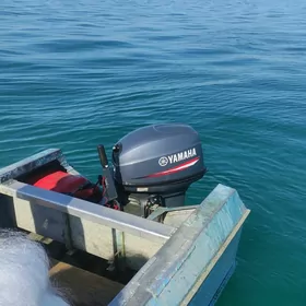 YAMAHA 40