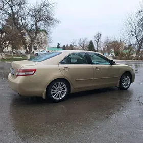 Toyota Camry 2010