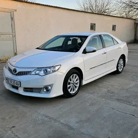 Toyota Camry 2013