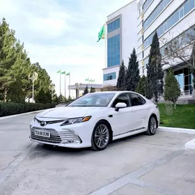 Toyota Camry 2020