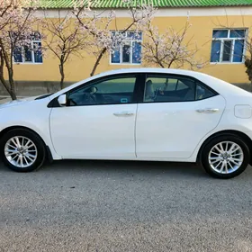 Toyota Corolla 2014