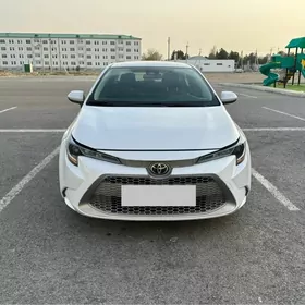 Toyota Corolla 2020