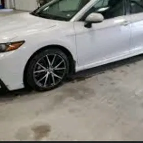 Arginal 21 23 Camry Parogy se