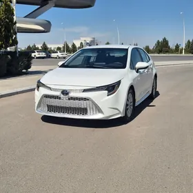 Toyota Corolla 2020