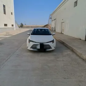 Toyota Corolla 2019