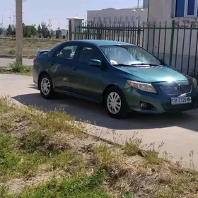 Toyota Corolla 2010