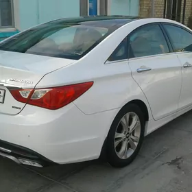 Hyundai Sonata 2010