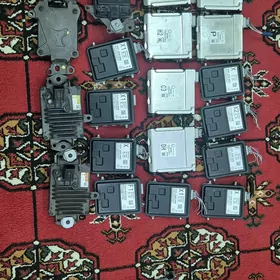 kamera camra palasa