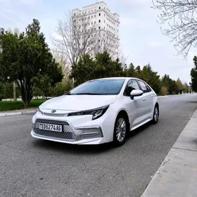 Toyota Corolla 2021