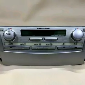 06-11 CAMRY OKUZ KELLE KLIMAT