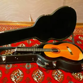 Gitara çehol гитара чехол