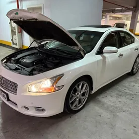 Nissan Maxima 2010