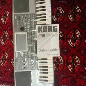 KORG PA 900 KORG PA 900