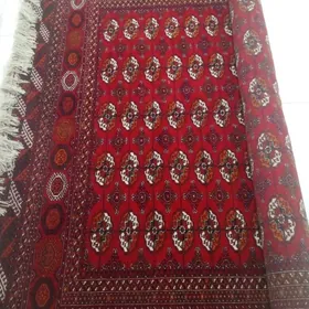 Artel El haly