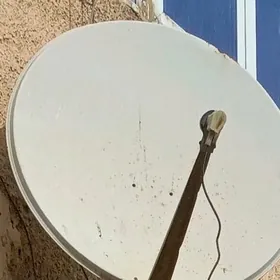 antenna kici