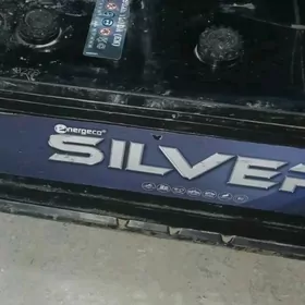 Silver 190lyk