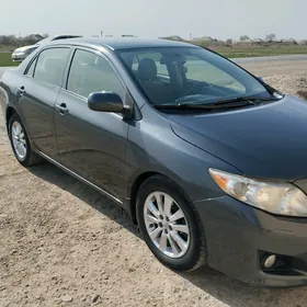 Toyota Corolla 2010