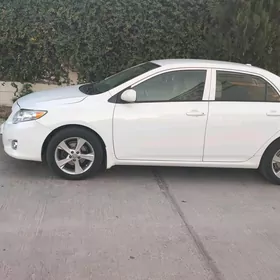 Toyota Corolla 2010