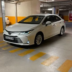 Toyota Corolla 2019