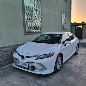 Toyota Camry 2019