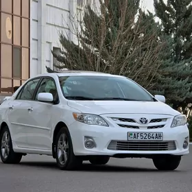 Toyota Corolla 2013