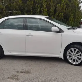 Toyota Corolla 2010