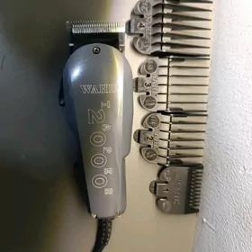 wahl 2000