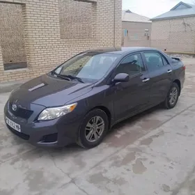 Toyota Corolla 2010