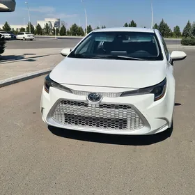 Toyota Corolla 2020