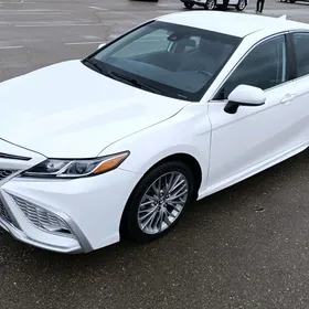 Toyota Camry 2020