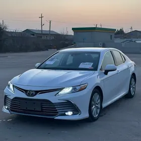 Toyota Camry 2019