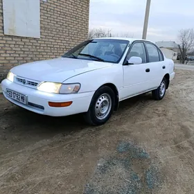 Toyota Corolla 1996