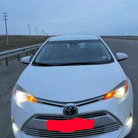 Toyota Corolla 2019