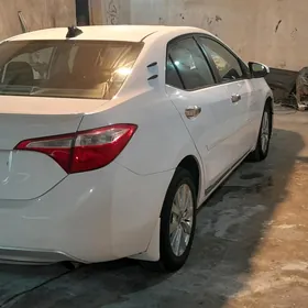 Toyota Corolla 2014