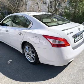 Nissan Maxima 2010