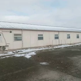 Камп