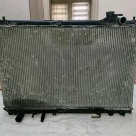 Radiator RX300