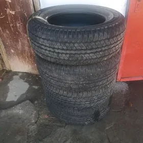 Teker 256/60 R18 pakrişka