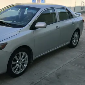 Toyota Corolla 2009