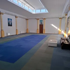 Gokdepe Ak gonurda jay