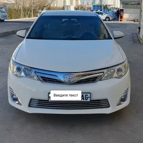 Toyota Camry 2013