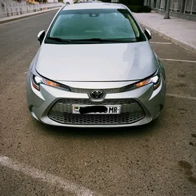 Toyota Corolla 2021