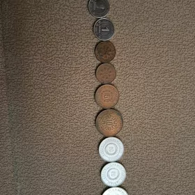 kopuk,moneta,tenne