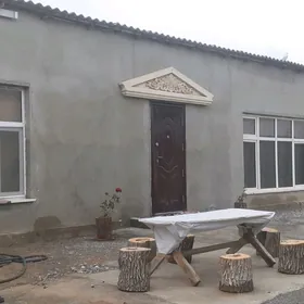 anev gioluk daca