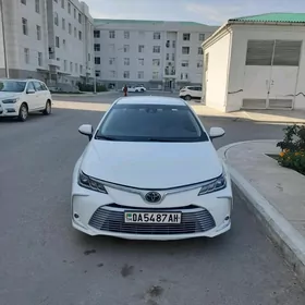 Toyota Corolla 2020