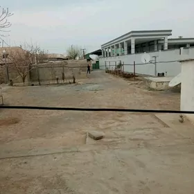 satlyk yer 8 sotuk