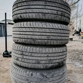 235/60/18 Pakryşga