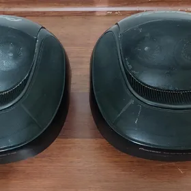Pioneer kalonka