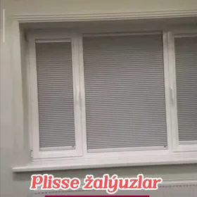 Jalyuz žalyuz zalyuz jalýuz